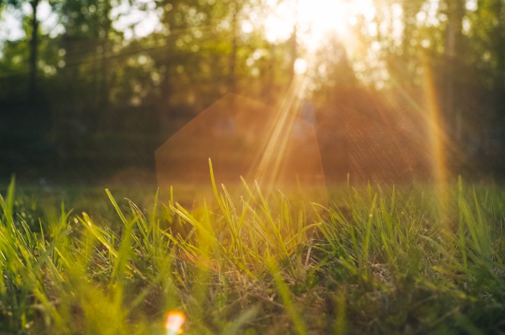 edmonton landscaping services